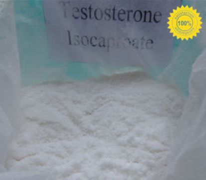 Testosterone Isocaproate 